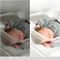 Fresh 48 Lightroom Presets by Lou and Marks Presets