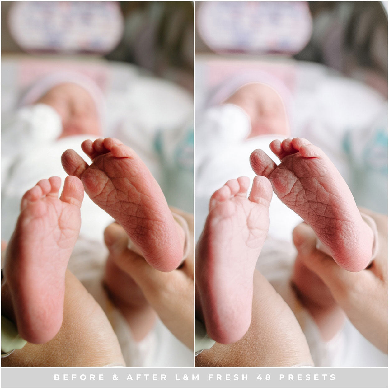 Fresh 48 Lightroom Presets by Lou and Marks Presets