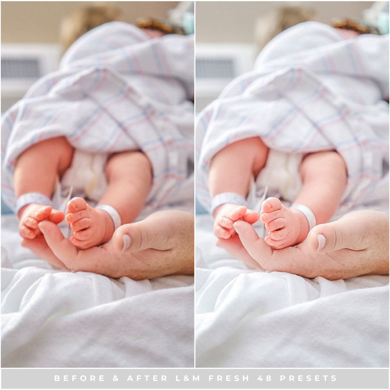 Fresh 48 Lightroom Presets by Lou and Marks Presets