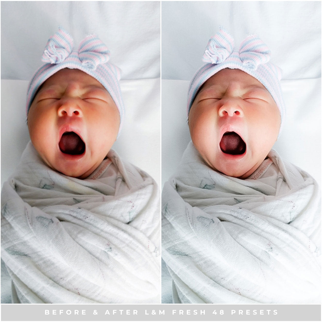 Fresh 48 Lightroom Presets by Lou and Marks Presets