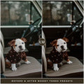 best moody Lightroom presets for instagram and photographers for Lightroom and photoshop editing photos by Lou and marks presets for pets