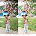 Everyday Lightroom Presets by Lou and Marks Presets