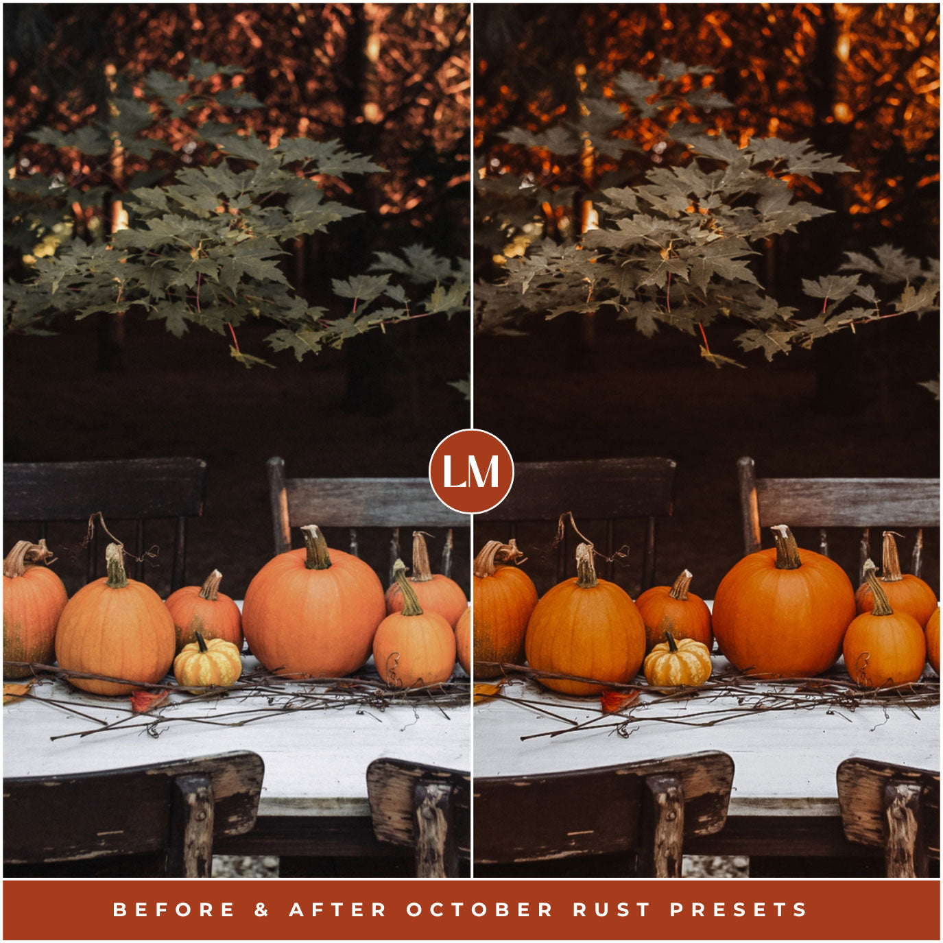 October Rust Halloween And Fall Lightroom Preset Photo Filters For Instagram Fall Photo Editing Leaves
