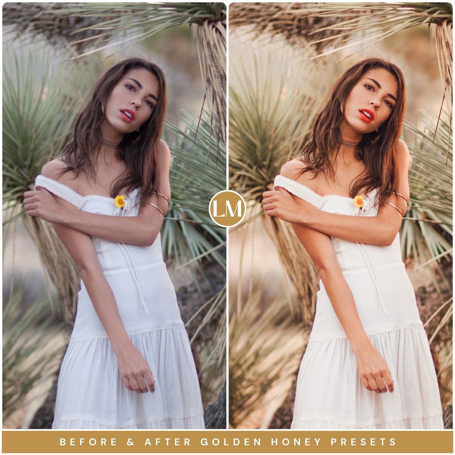 Golden Honey Lightroom Presets by Lou and Marks Presets
