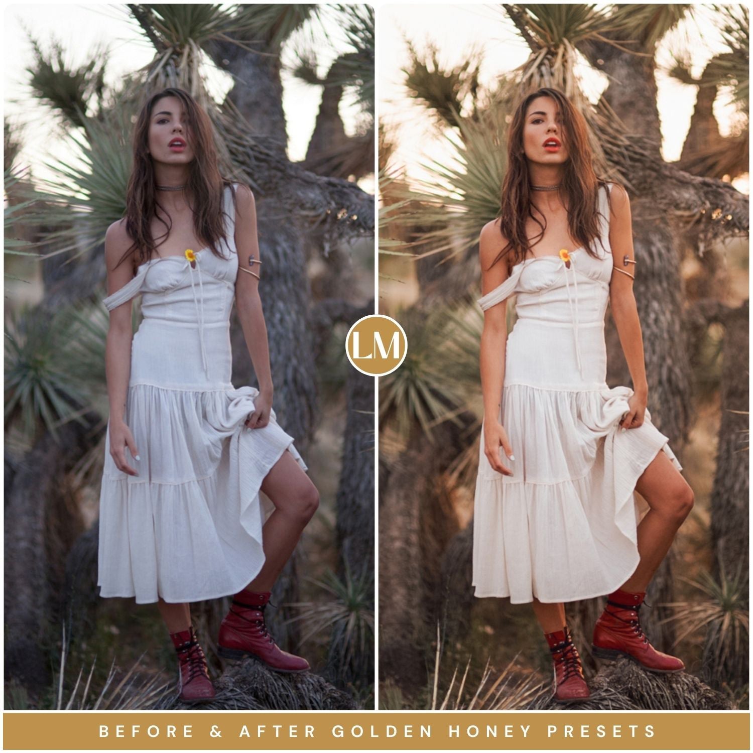 Golden Honey Lightroom Presets by Lou and Marks Presets