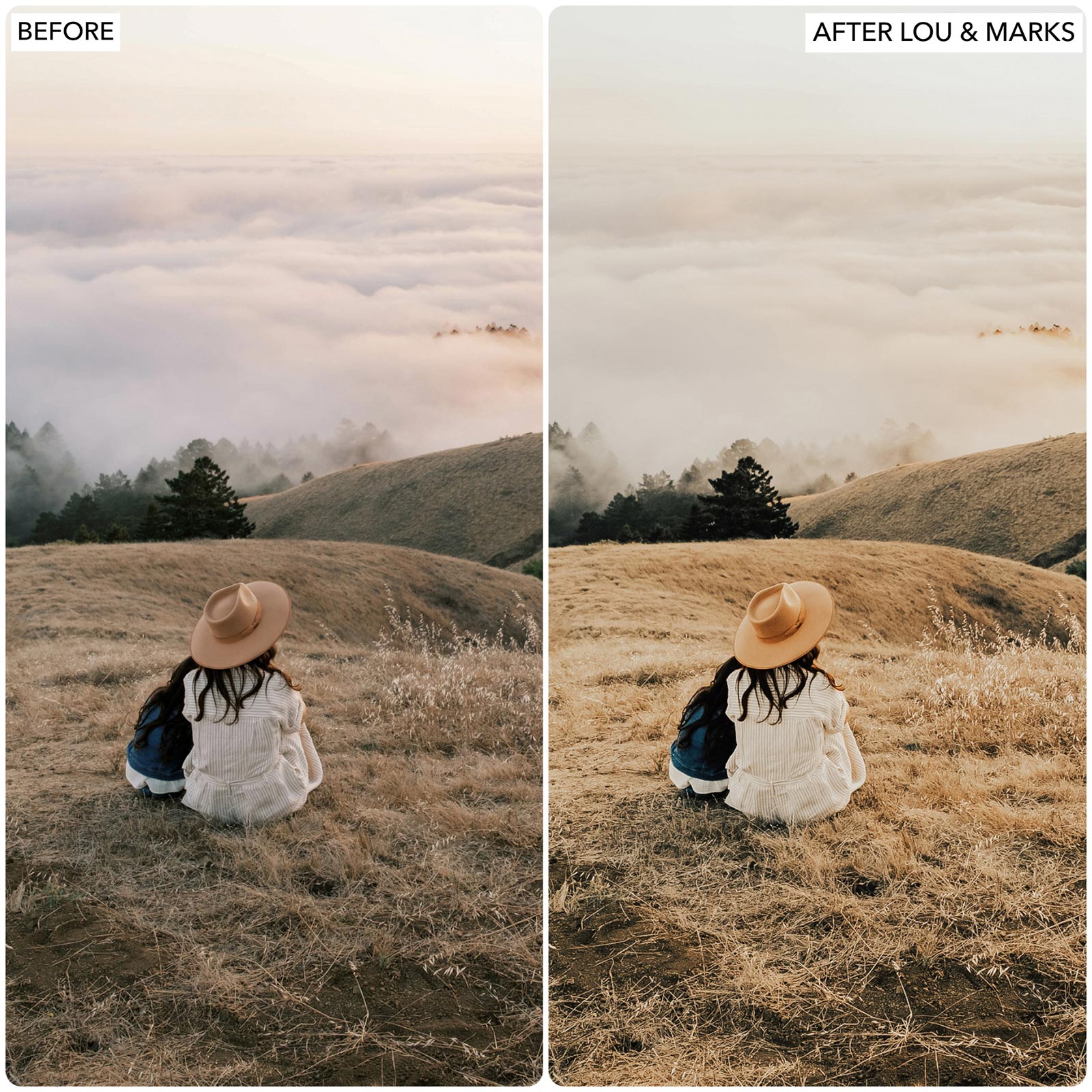 Golden Honey Lightroom Presets by Lou and Marks Presets