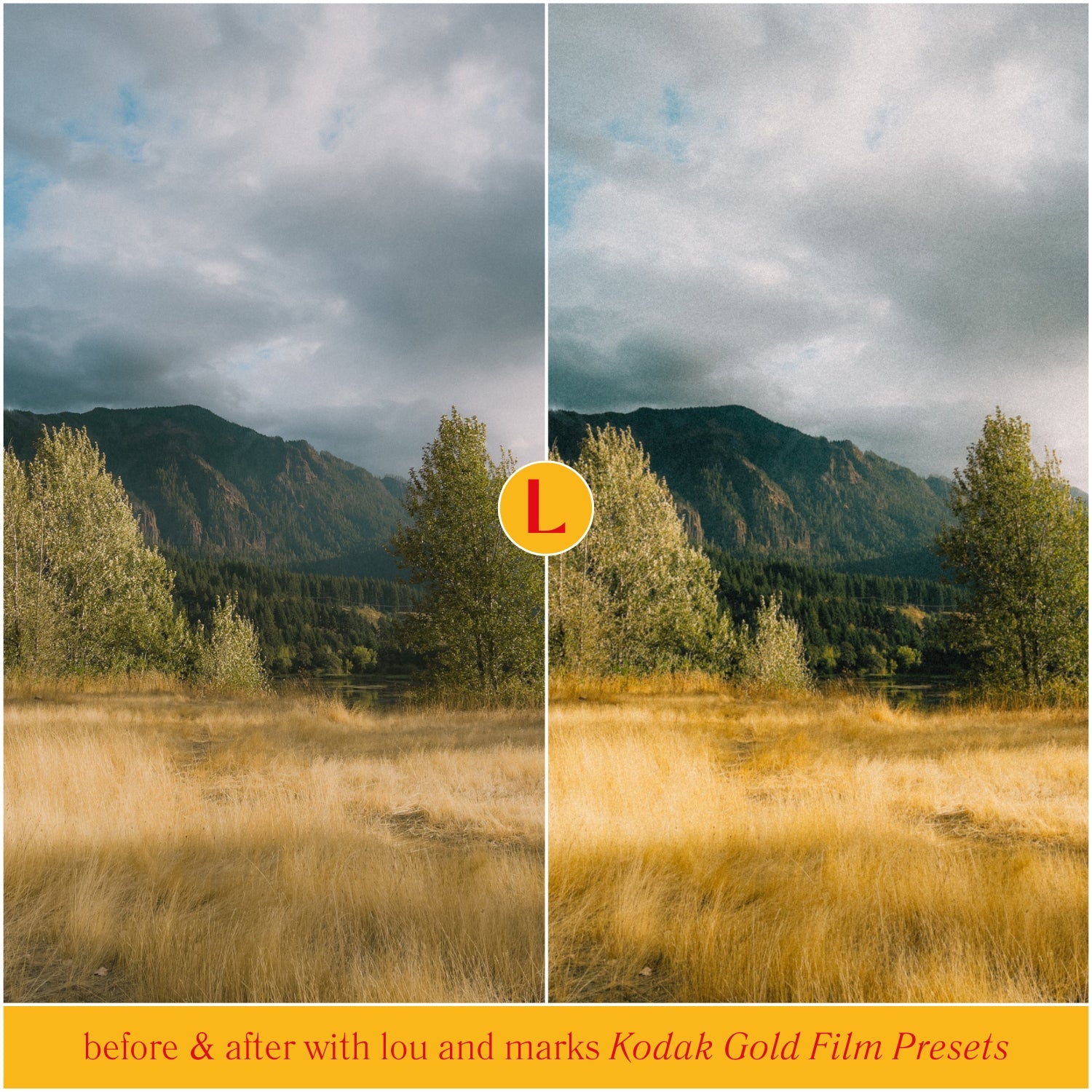 Kodak Gold Film Lightroom Presets for photographer photo editing and Instagram photo editing in Adobe Lightroom in one click or landscape photos