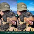 Granola Lightroom Presets for photographer and influencer photo editing in Adobe Lightroom by Lou And Marks Presets