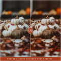 October Rust Halloween And Fall Lightroom Preset Photo Filters For Instagram Fall Photo Editing Pumpkin