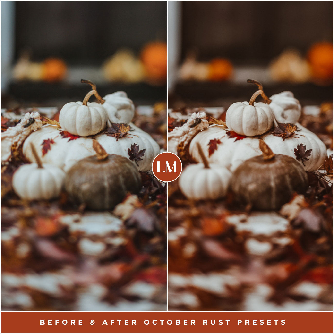 October Rust Halloween And Fall Lightroom Preset Photo Filters For Instagram Fall Photo Editing Pumpkin