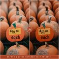 October Rust Halloween And Fall Lightroom Preset Photo Filters For Instagram Fall Photo Editing lifestyle