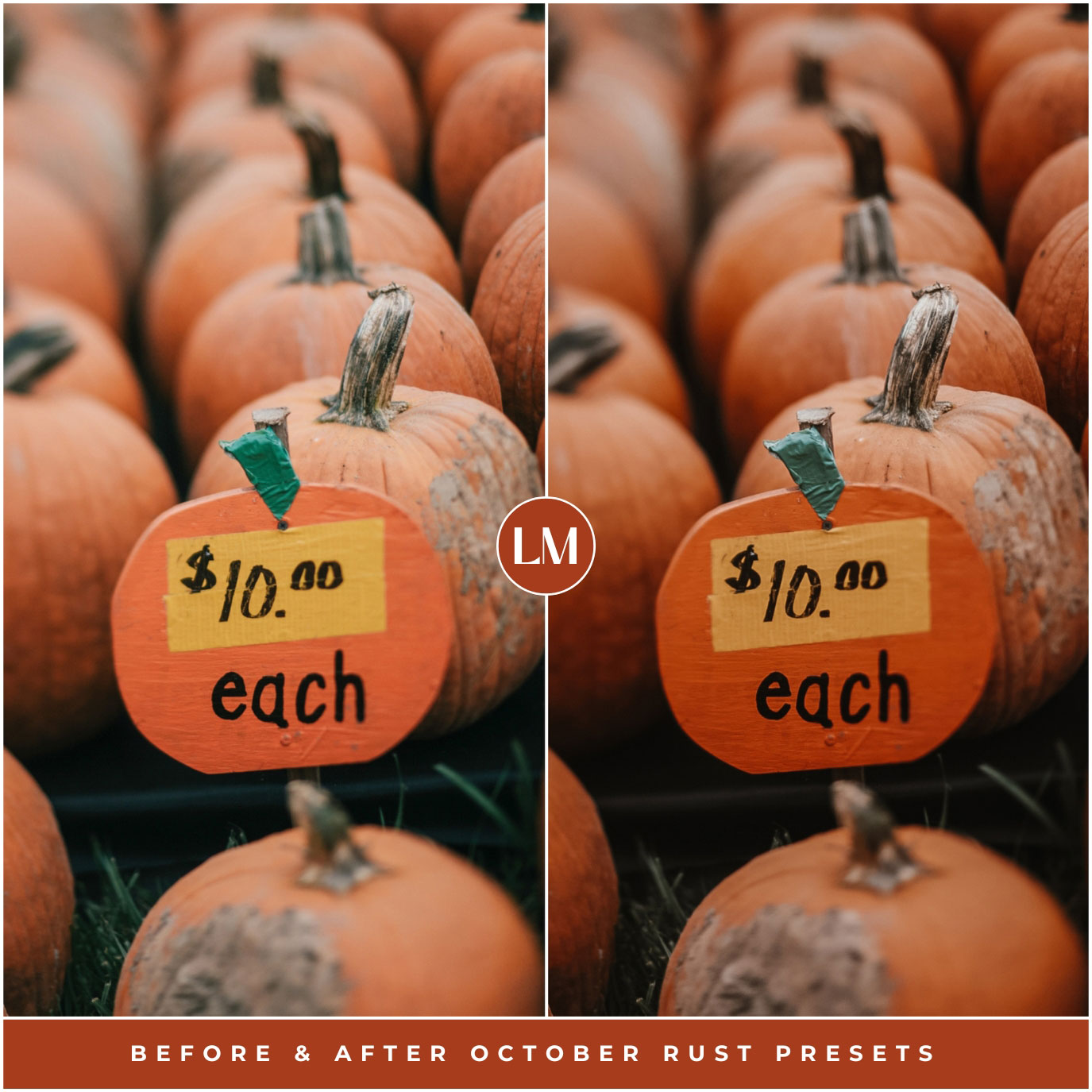 October Rust Halloween And Fall Lightroom Preset Photo Filters For Instagram Fall Photo Editing lifestyle