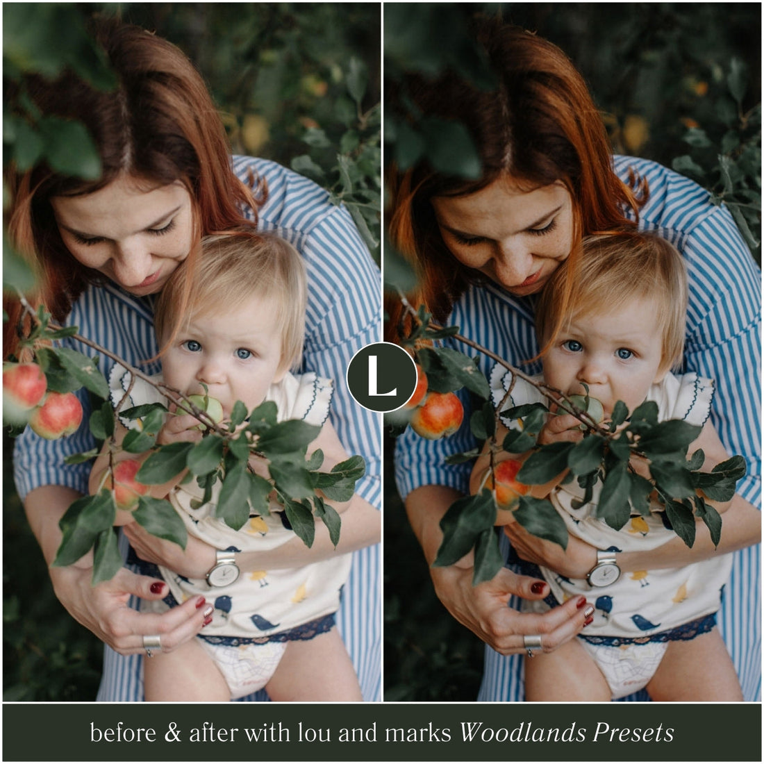 Woodlands Lightroom Presets By Lou And Marks Presets Mobile And Desktop For Instagram And Photographers