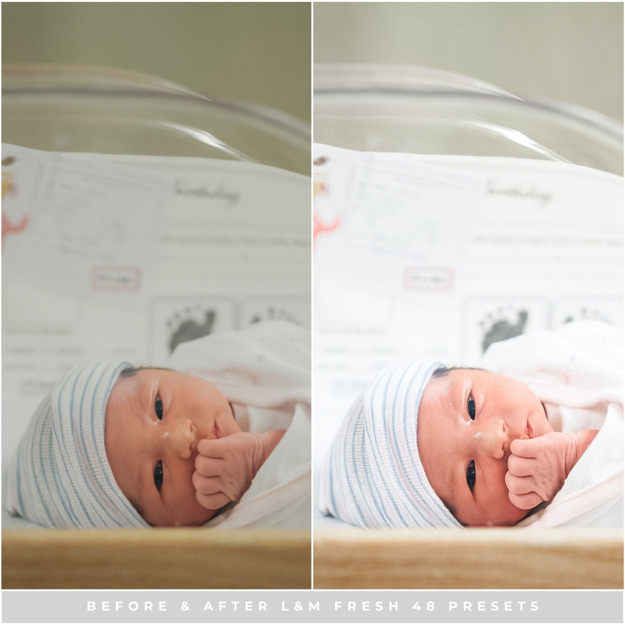 Fresh 48 Lightroom Presets by Lou and Marks Presets