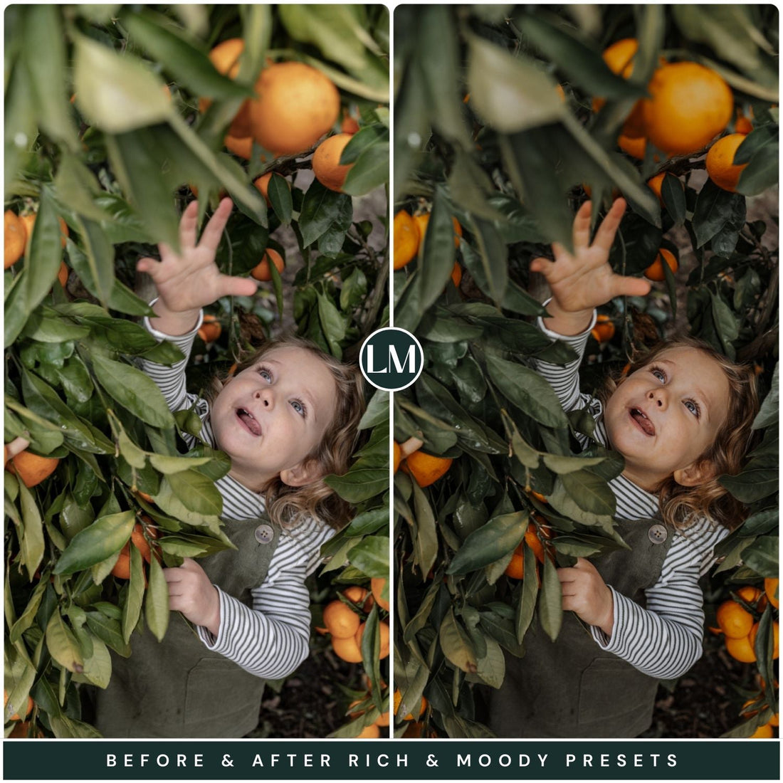 Rich And Moody Lightroom Presets By Lou And Marks Presets Mobile And Desktop For Instagram And Photographers
