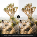 Photo Presets Moody Film Lightroom Presets For Photographers And Photo Presets For Instagram By Lou And Marks Presets